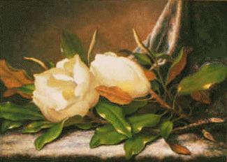 Martin Johnson Heade Giant Magnolias